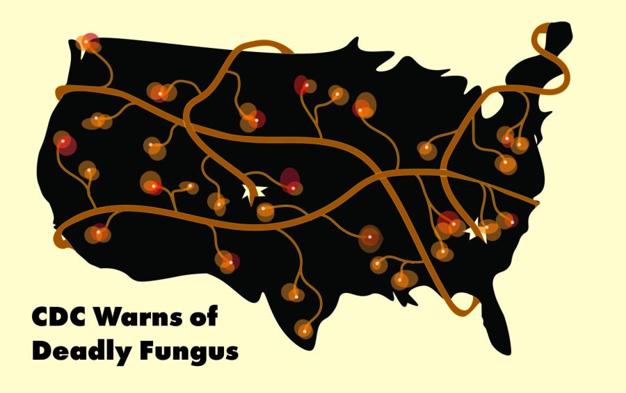 CDC Warns of Deadly Fungus