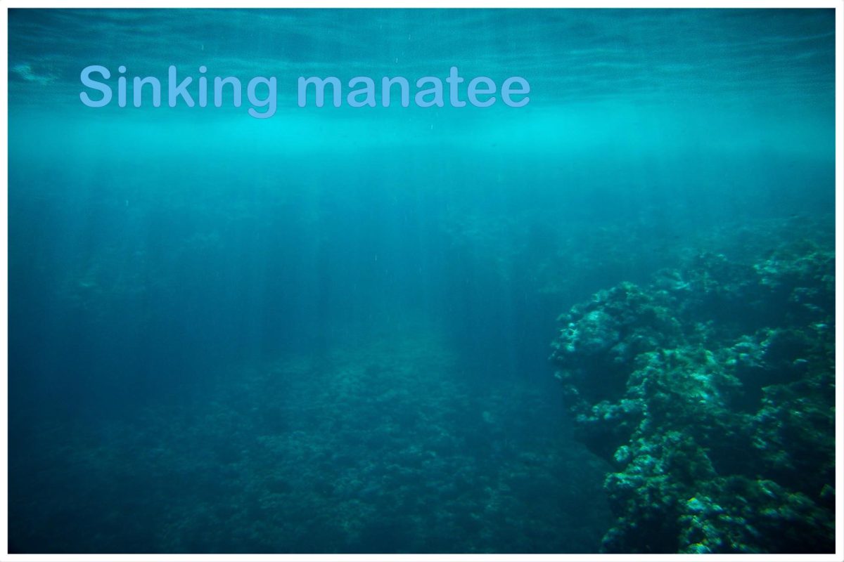 The Sinking Manatee