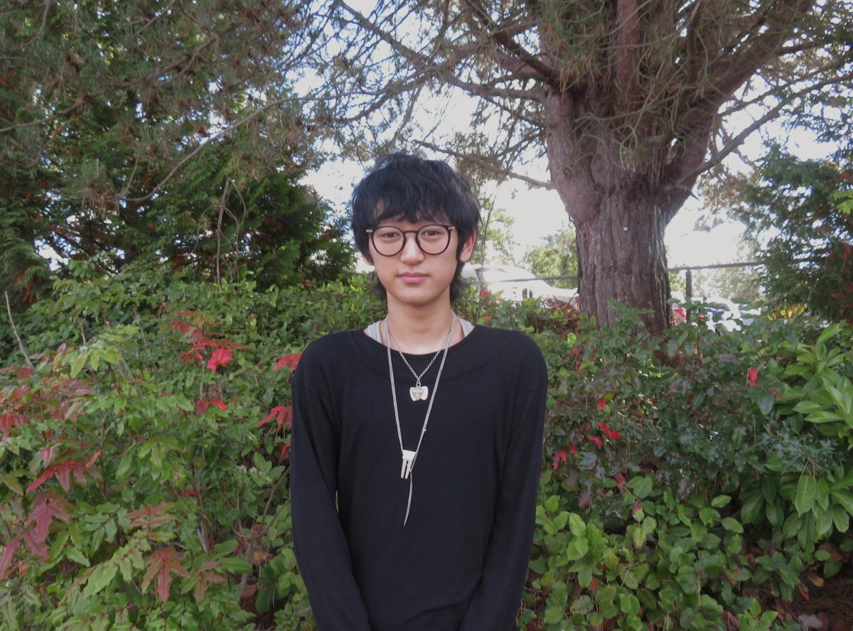 Dylan Shin